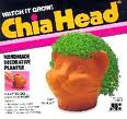 Chia Pet Cat